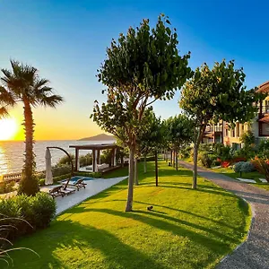 Allium Bodrum & يالِكافاك